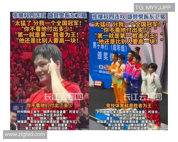 乒乓球深度：解密杭州乒乓球队的转换